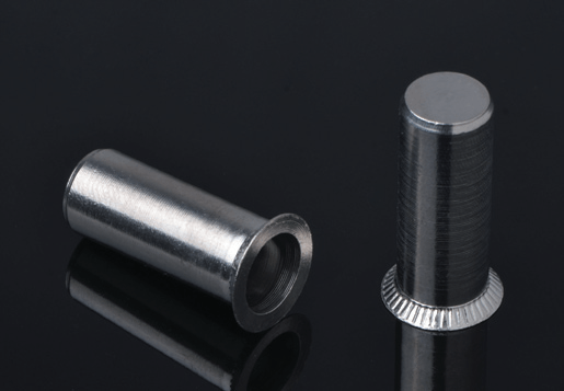 Rustfritt stål tellereNsunk Head Round Body Plain Rivet Nuttere Lukket ende Type
